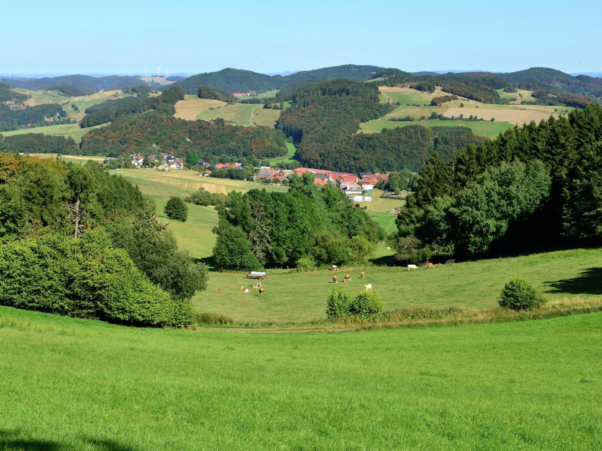 Quaint Apartment In Eimelrod Near Lake And Water Sports Willingen  Bagian luar foto